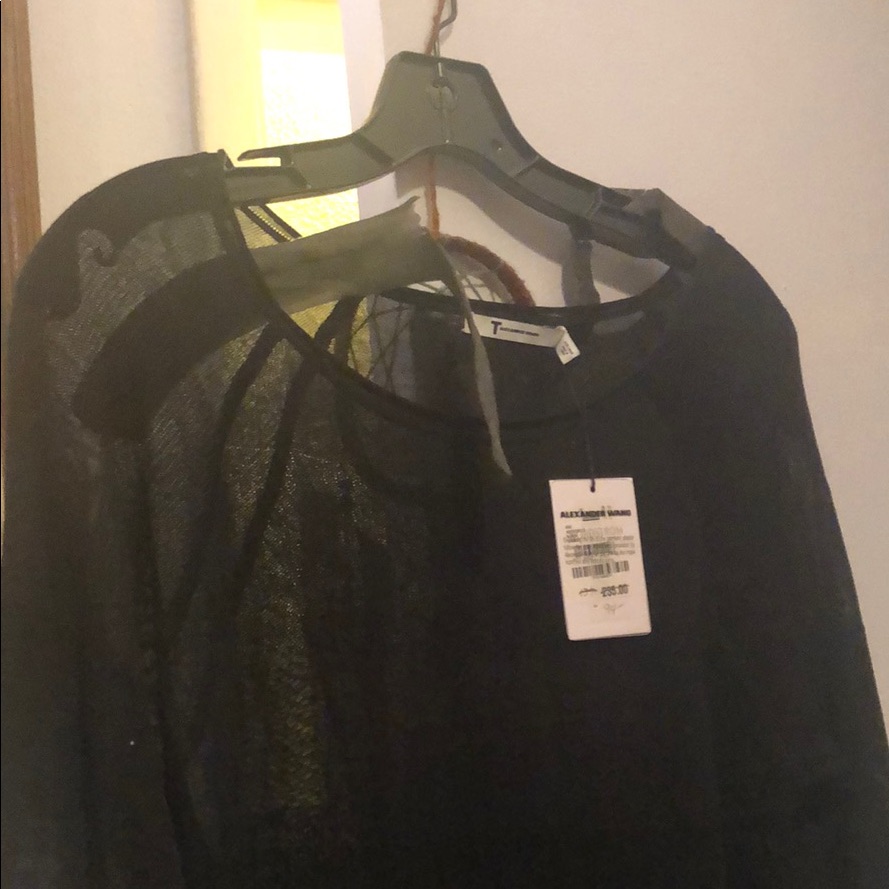 Brand New Alexander Wang Sheer Black Dress